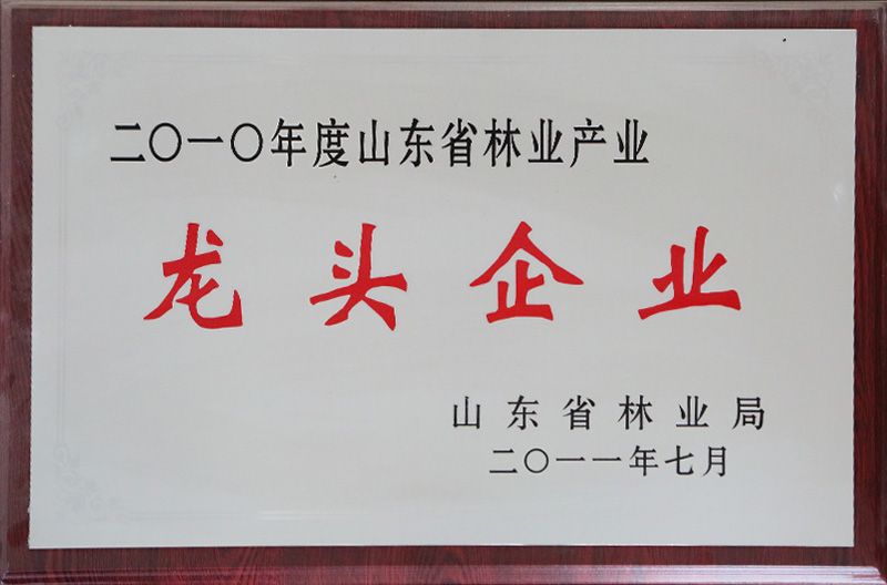 ,Shandong Heze Maosheng Wood Products Co. Ltd.