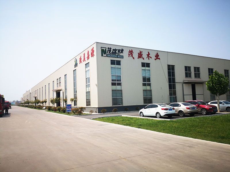 Shandong Heze Maosheng Wood Products Co. Ltd., Annual production of 600,000 cubic meters of flame retardant particle board project environmental impact assessment public participation first publicity